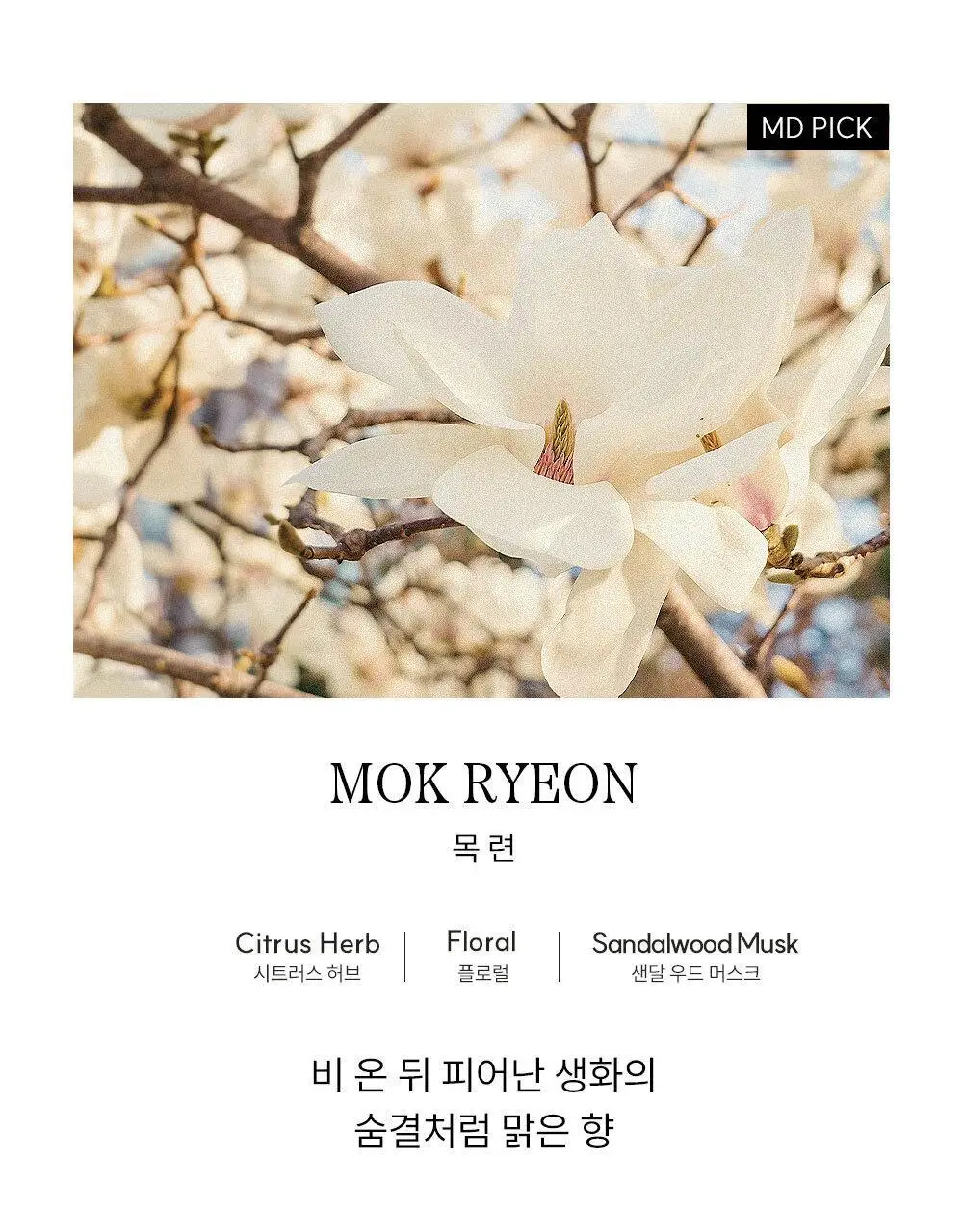 [젖은숲/우디향] 코칸 핸드메이드 샤쉐 42g 이다바시 상세페이지 20